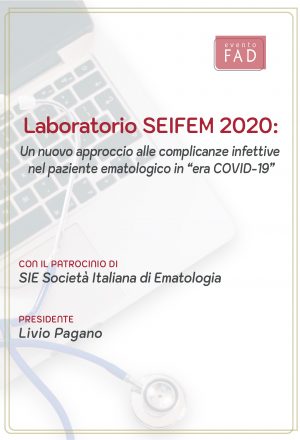SEIFEM-2020-1